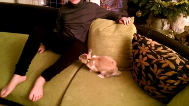 Un ptit délire avec le Lapinou a ma fille Mdrrrrr