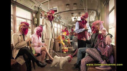 Le dernier Face Bouc Show de 2013