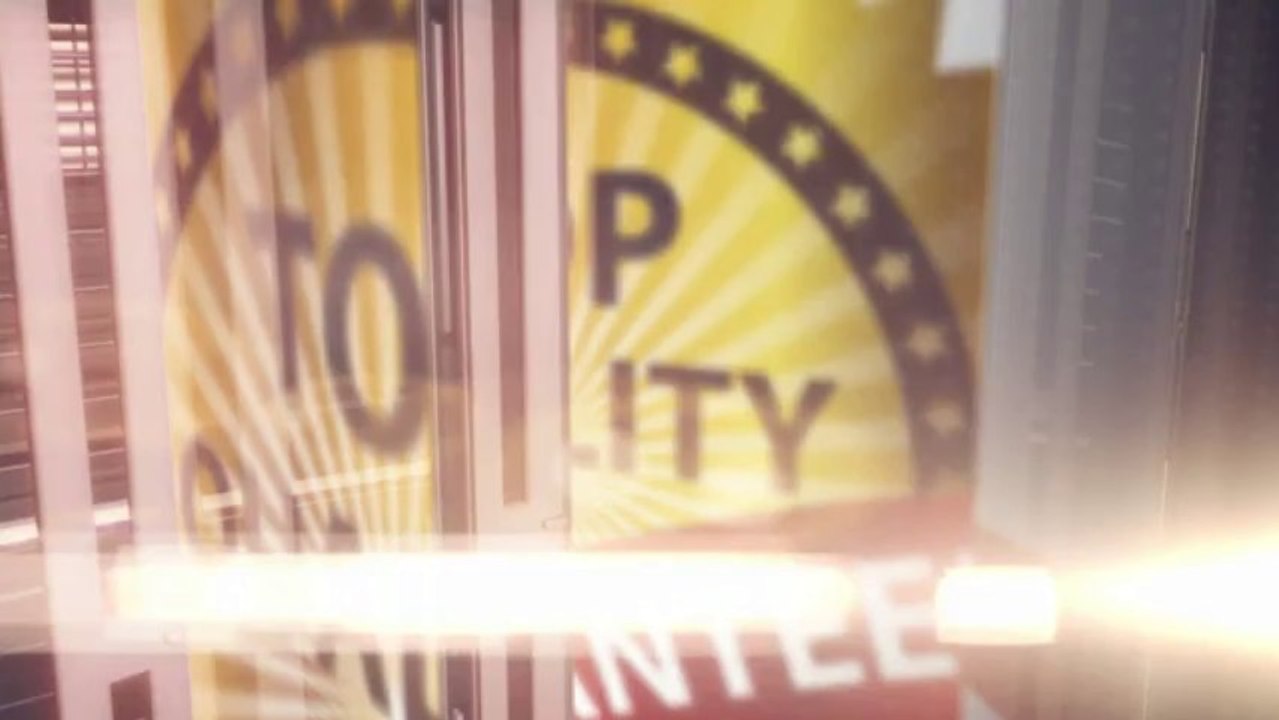 Presenting Elite Body Squad's New Variety Of Weight Lifting Straps