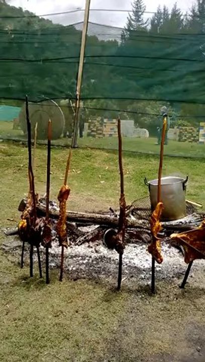 Carne a la llanera, ternera, mamona, cochinillo, costillas de lechón, parrillada, preparado en su hogar por A fuego lento "la mejor carne del planeta. web: afuegolento.wix.com/carne