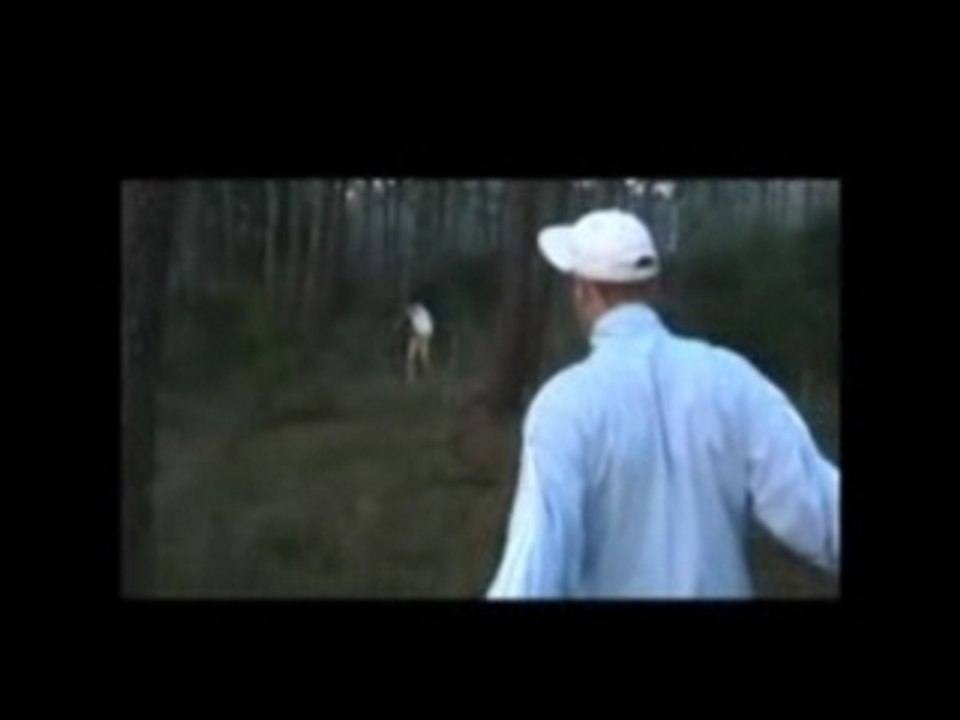 Le petit Farid