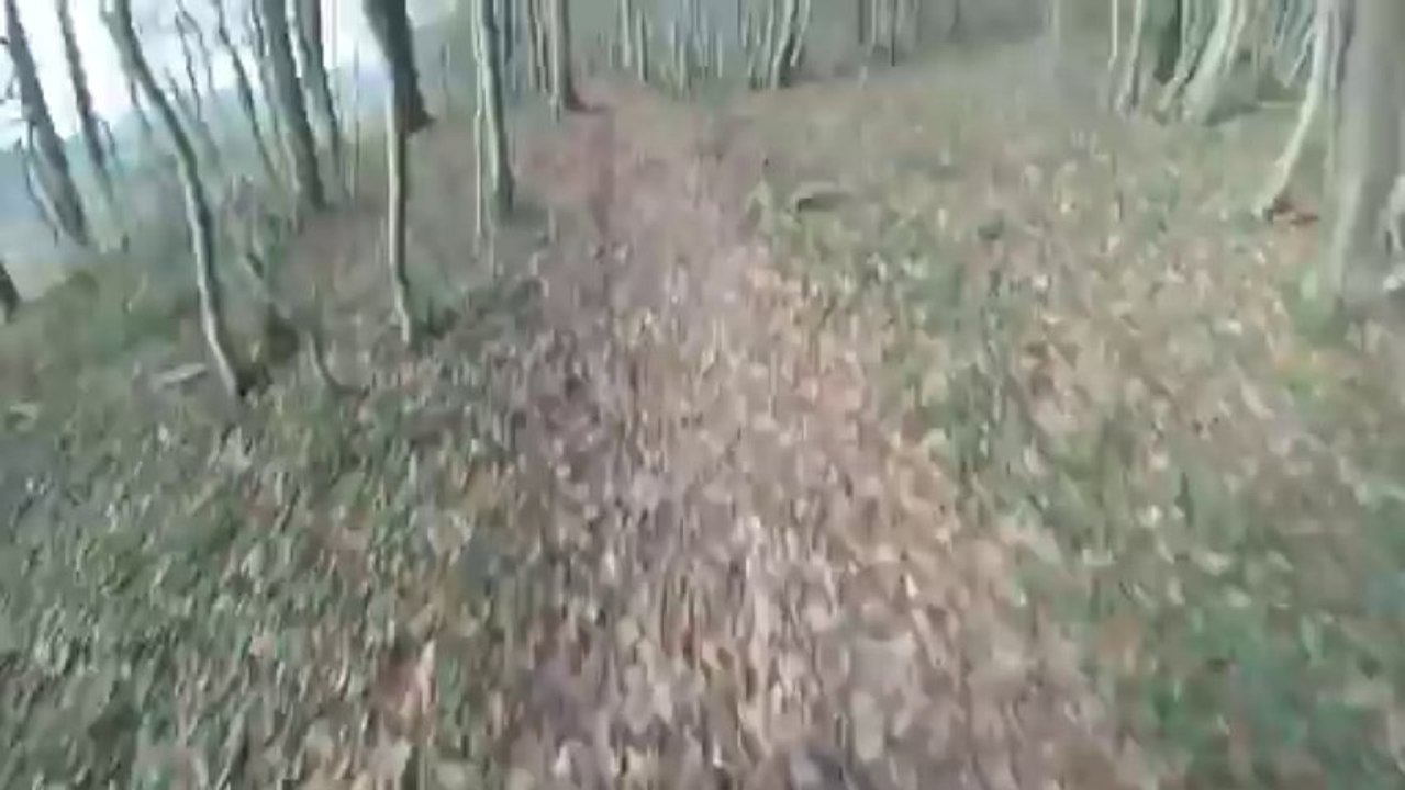 VTT-NOEL-2013-HD
