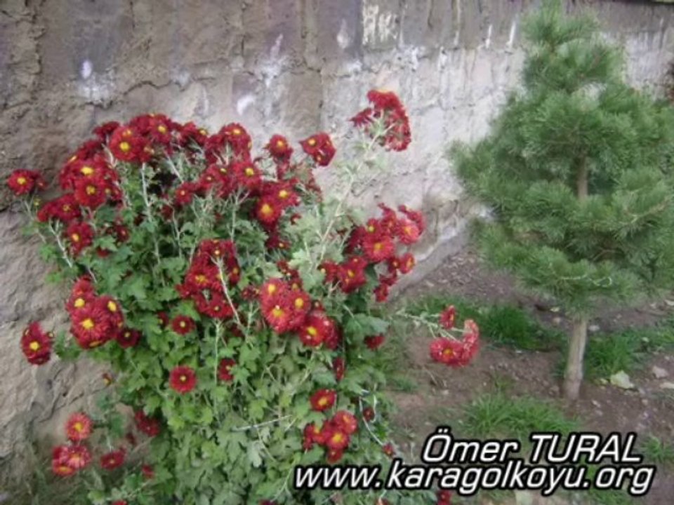 Bir Sevdadır karagöl