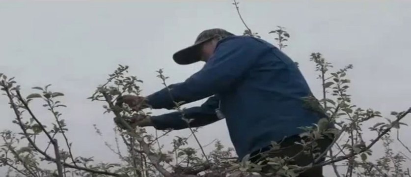 Повече от мед - част 2