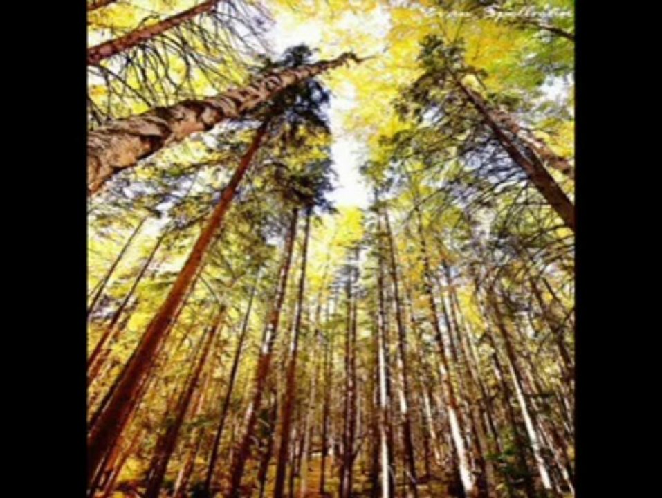 #!_video_video.php-v_167528753291938