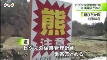 20131224ヒグマ管理計画 素案まとめる（北海道）