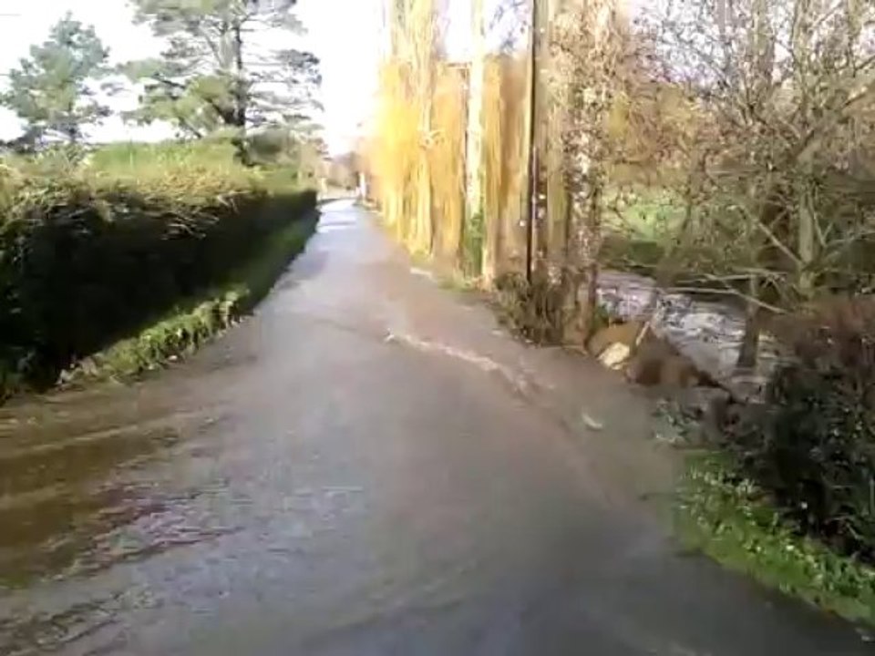 Débordement de rivière et arbres au sol à Plougasnou