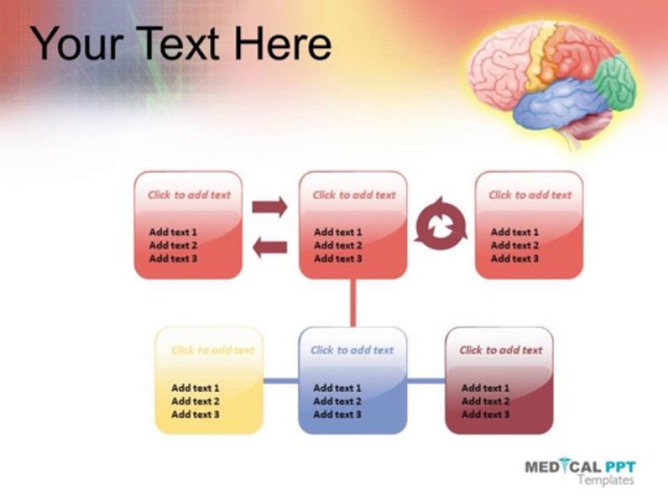 ECG and Brain PowerPoint Templates