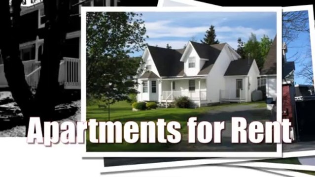 Apartments for Rent in St John NL Pet Friendly