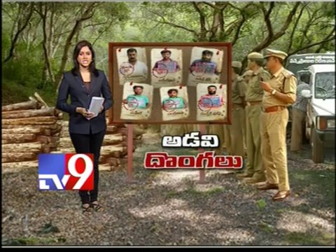 Bigwigs behind red sandalwood smuggling - Tv9 exclusive