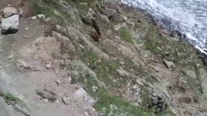 Mont Blanc 2013 - Italian normal route