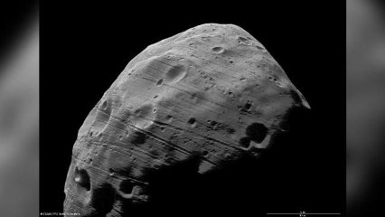 Martian Moon Has Weird Grooves On Its Surface