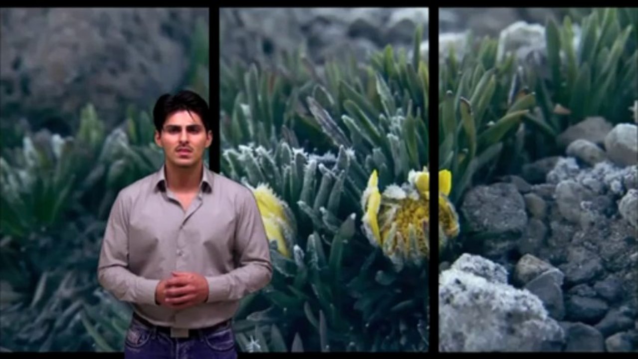 Die Zelle wurde erschaffen