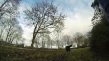 Gopro Hero 3 : Border Collie playing ball