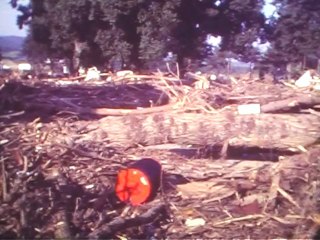 Crue de la Loire Bas en Basset 1980