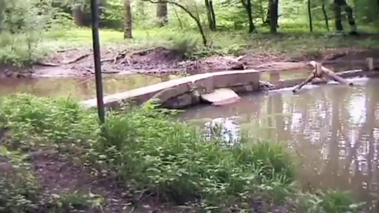 Wildgehege Brück – Wildschwein und Co.