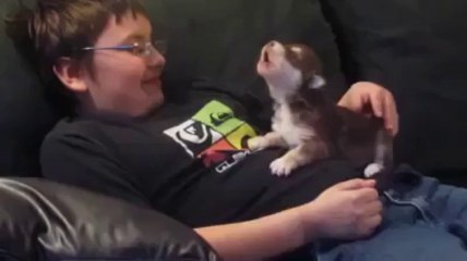 Little Puppy missing his mom