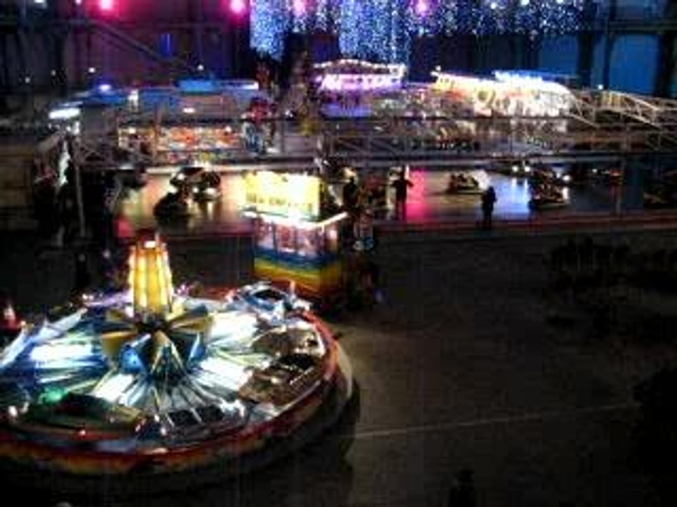 Grand Palais, du haut de la grande roue
