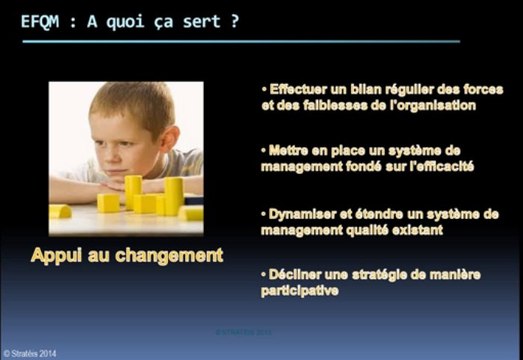 EFQM Evaluation Conseil Formation Stratéis