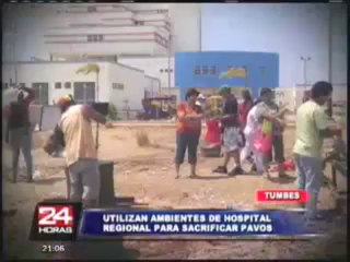 Hospital de Tumbes sacrificó a 200 pavos incumpliendo normas de sanidad