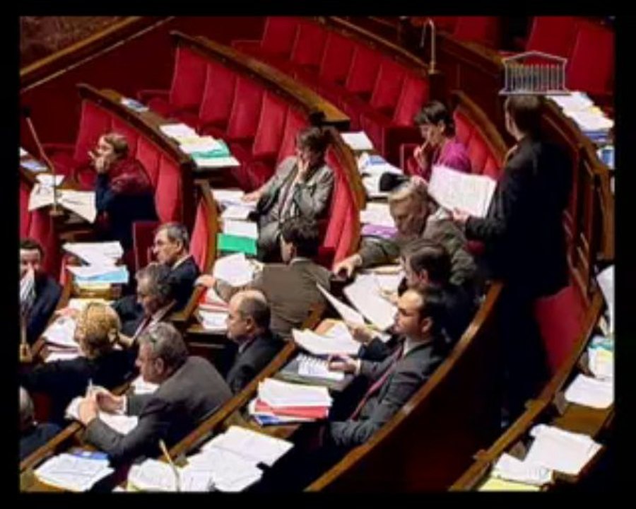 Application des articles 34-1, 39 et 44 de la Constitution - Lundi 19 Janvier 2009