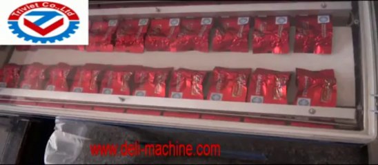 Máy hút chân không chè DZ600 X 2