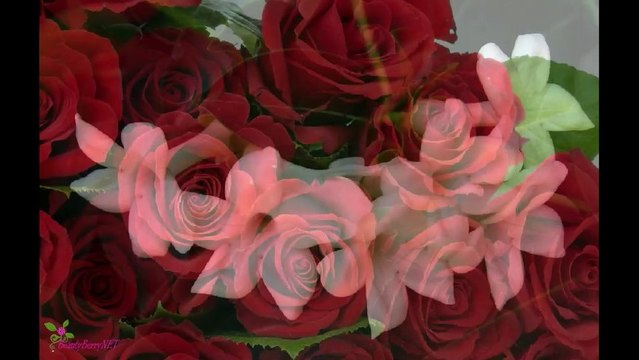 JEAN PATOU Joy Eau de Parfum Spray