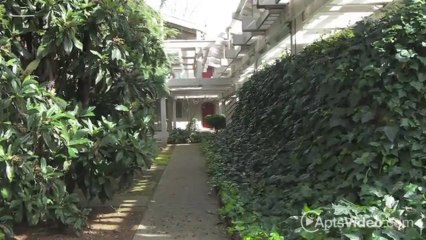 Stonegate Village Apartments in Davis, CA - ForRent.com