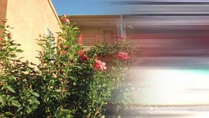 Paseo del Sol Apartments in Albuquerque, NM - ForRent.com