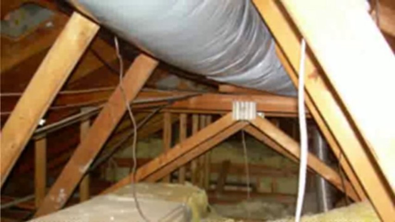 Termite Treatment Los Angeles