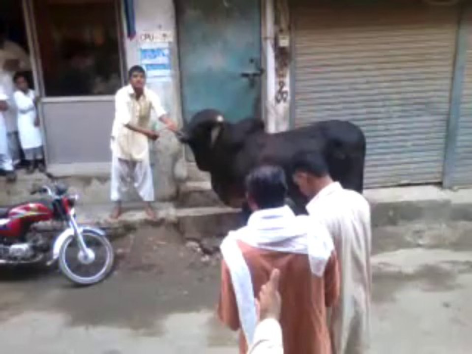 2013 bakra eid. opsss
