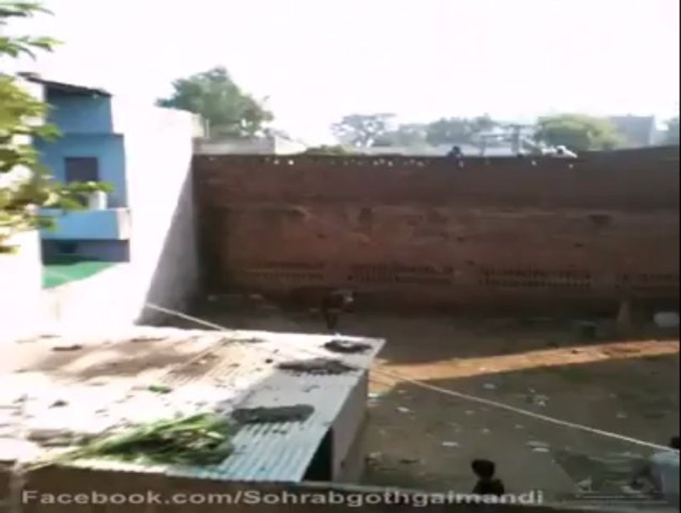 Bull Fighter