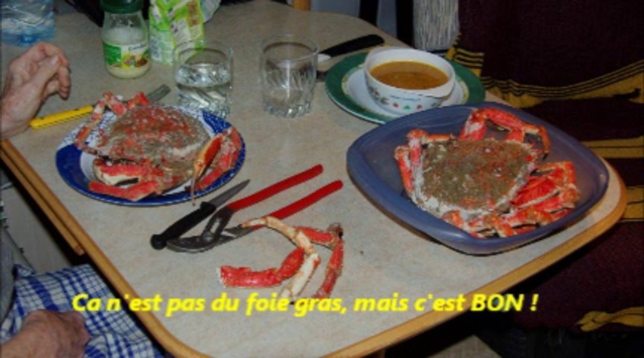 Sans Titre