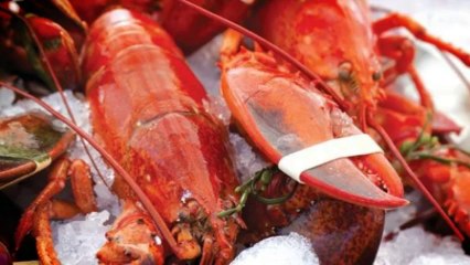 astaxanthin benefits