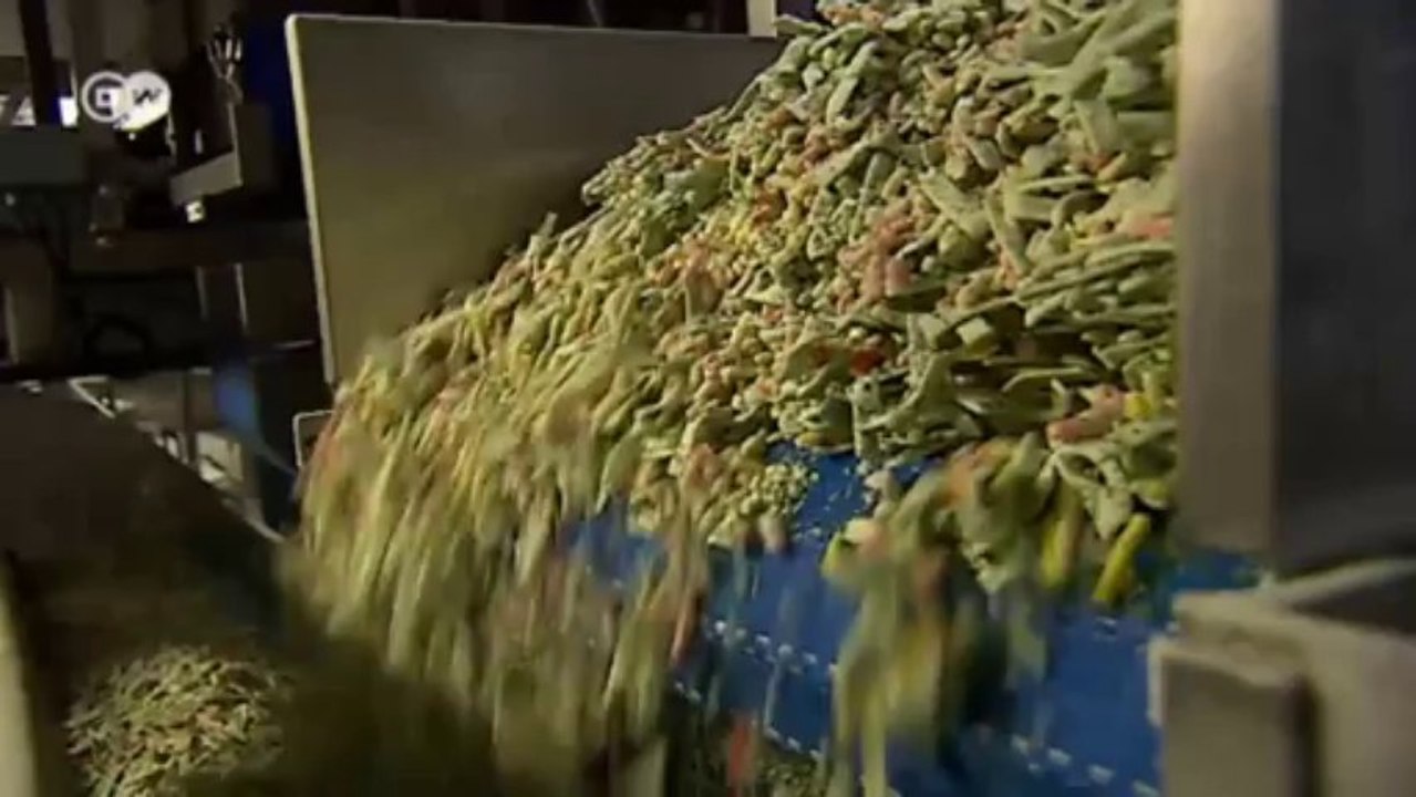 Kühle Rechner - Frosta profitiert vom grünen Image | Made in Germany