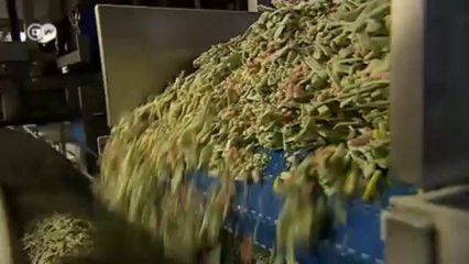 شركة فروستا تجني أرباحا من الصورة الخضراء الصديقة بالبيئة | صنع في ألمانيا