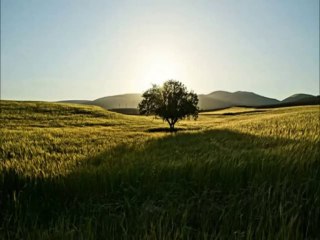 Musa Eroglu - (2007) Nem Kaldı