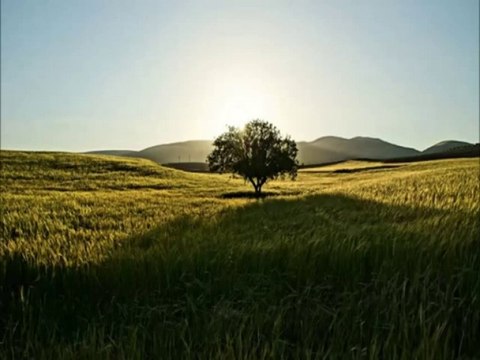 Musa Eroglu - (2007) Nem Kaldı