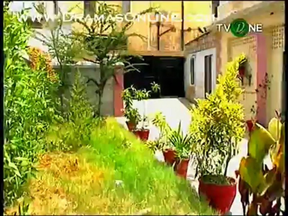 orangi1
