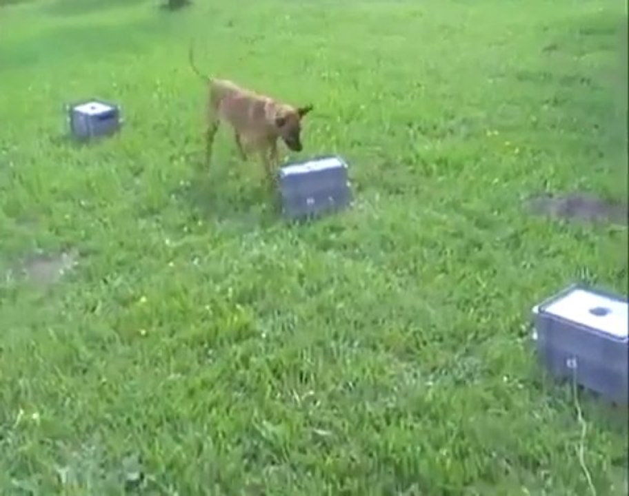 Mecberger Elvi - Conditioning Explosive Detection