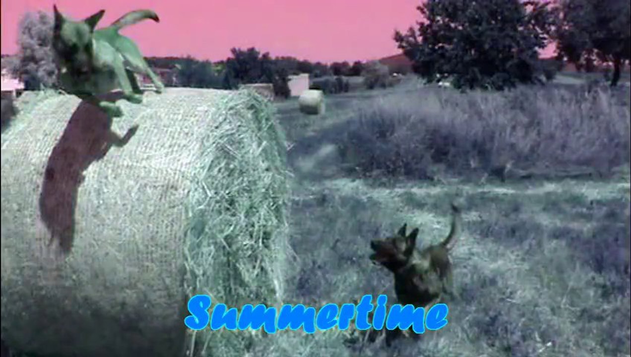 Be Aware Bonkers + Ecco de Kerprigent - Summertime - 2011