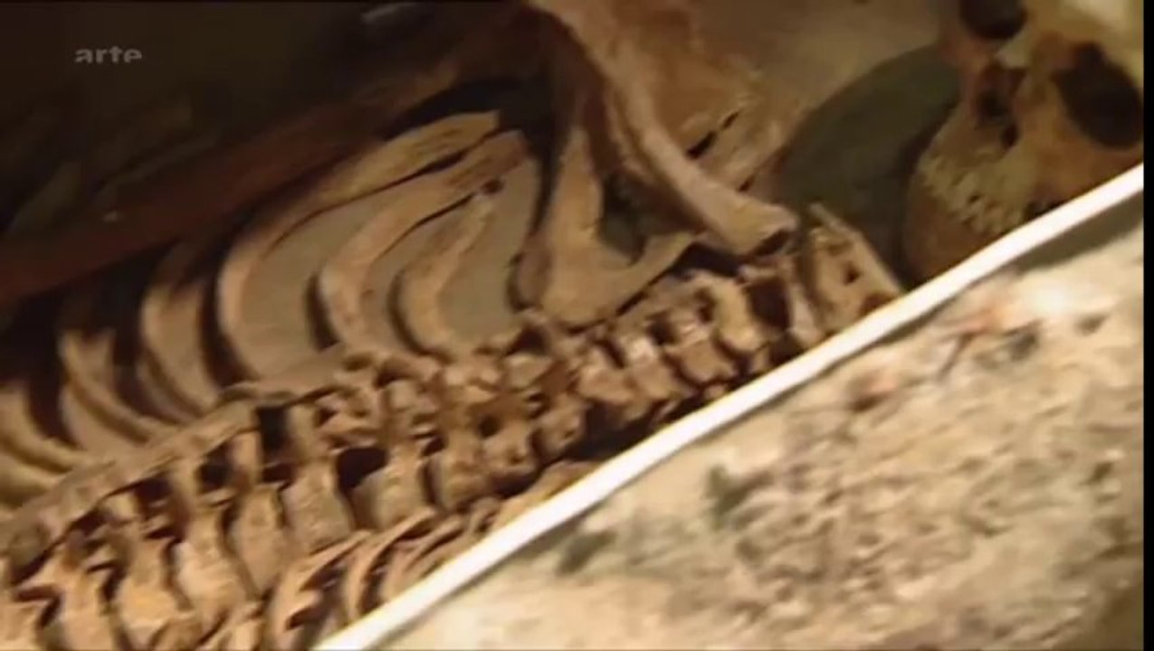 Xenius ... Les pilleurs de tombes et chercheurs de trésors