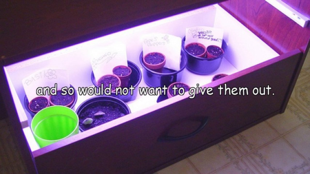 What You Should Know On Antique Trunks For Sale