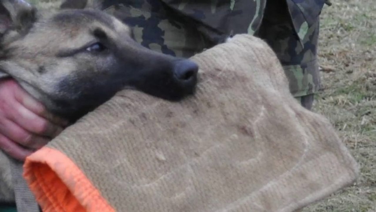 Be Aware Delwood @ Meet me in CZ