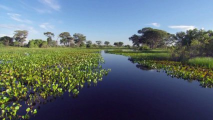 HD    - 720p  صوت ملائكى