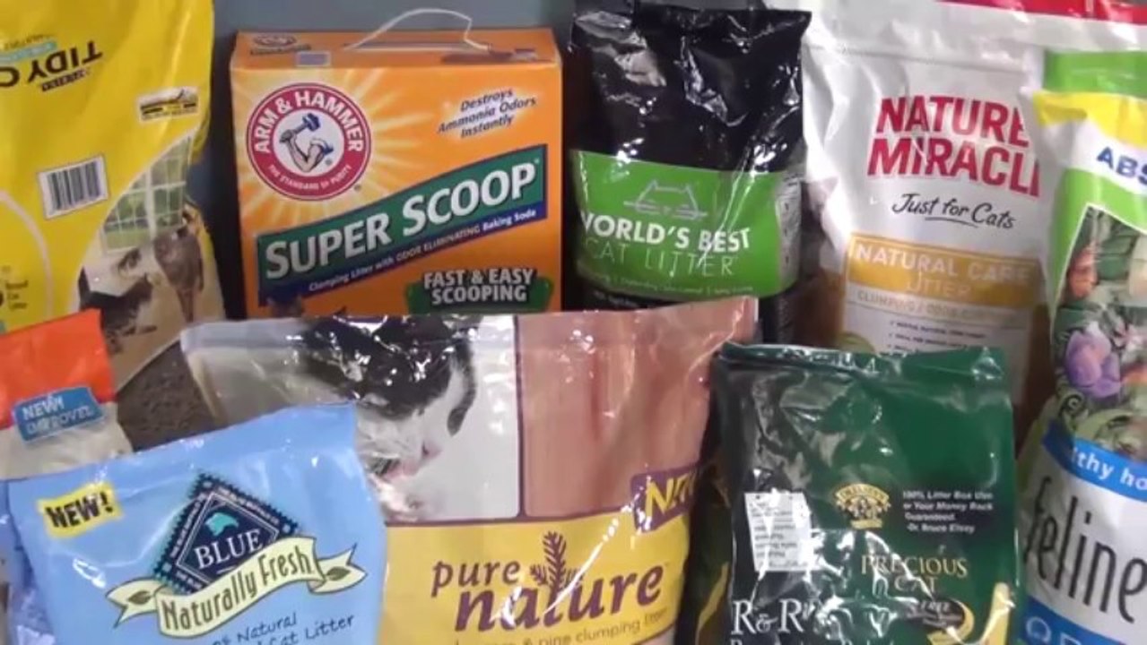 Litter Robot Video - The Self Cleaning Litter Box that really works!