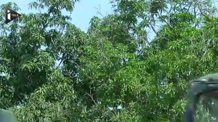 Soudan du Sud : 6 000 Casques bleus de plus