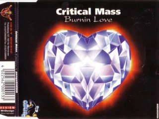 CRITICAL MASS - Burnin love (happy radio edit)
