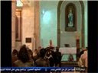 تحت المجهر.. إكليل من شوك