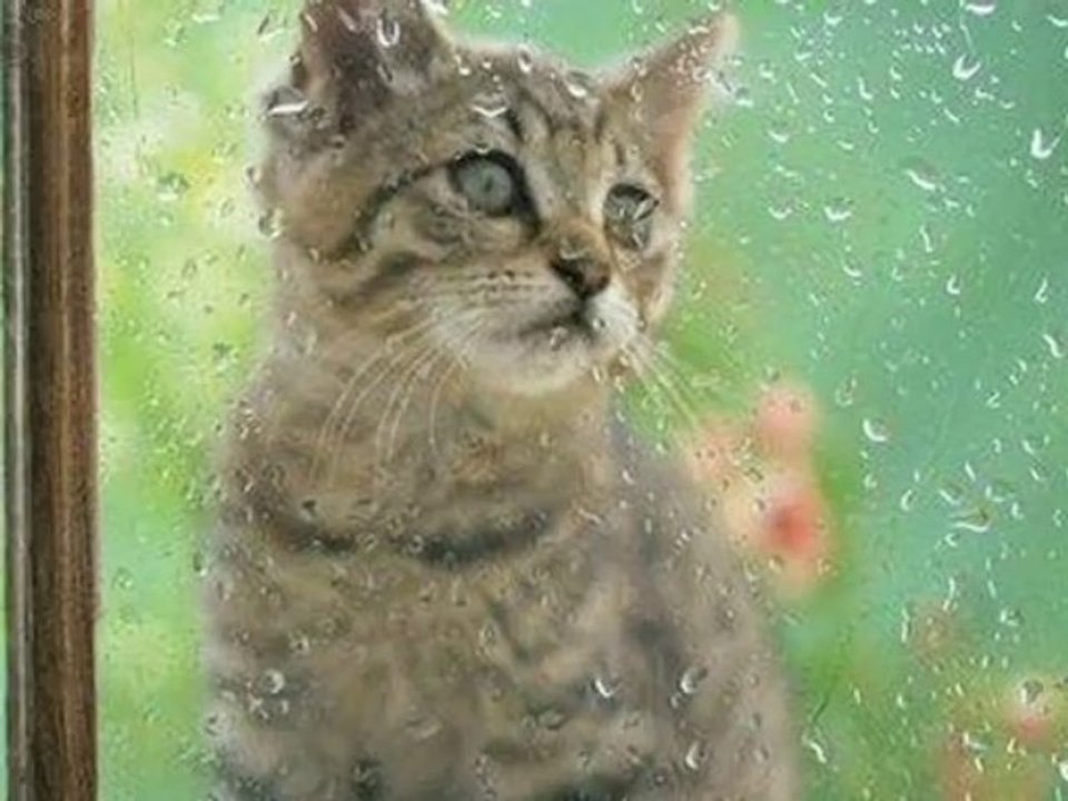 When Will I See You Again - Eu Mesmo